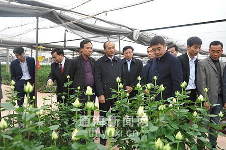 花卉产业为通海发展增色添彩